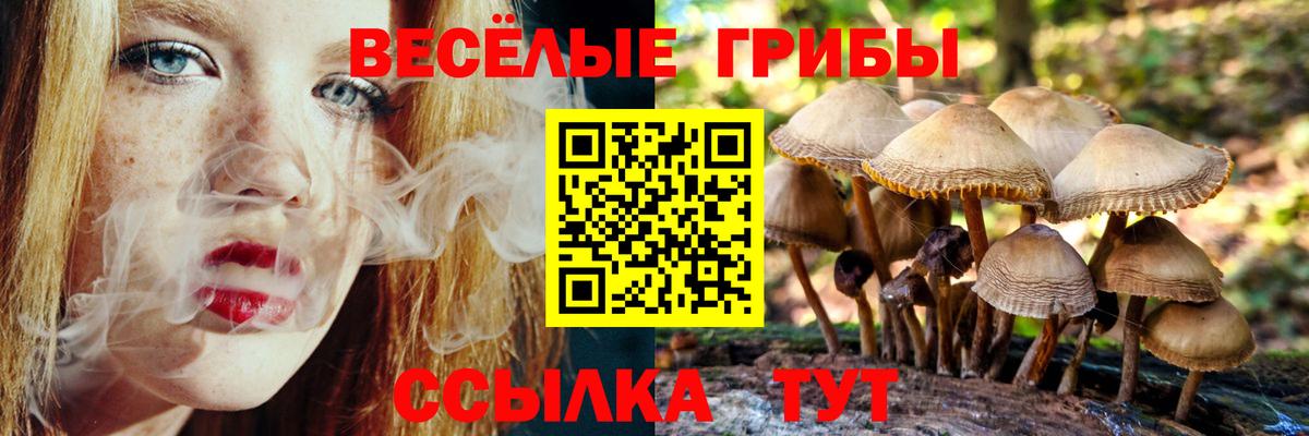 Черняховск  Псилоцибиновые грибы мухоморы  Вход с VPN 